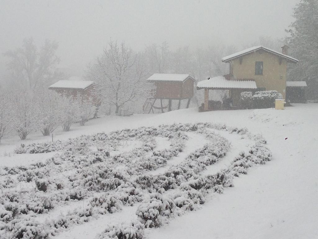 Ecolodge Langhe Cherasco Bagian luar foto