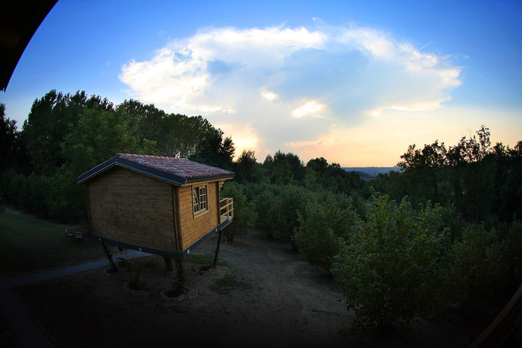 Ecolodge Langhe Cherasco Bagian luar foto