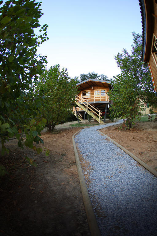 Ecolodge Langhe Cherasco Bagian luar foto